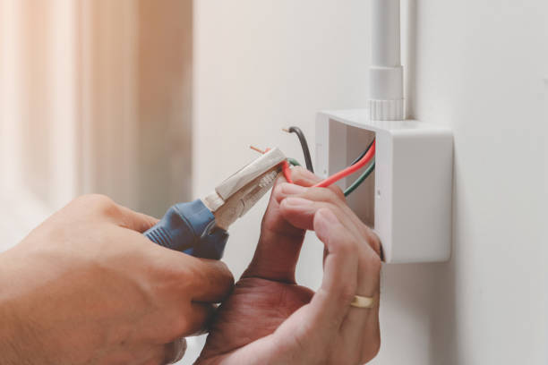 Best Electrical Troubleshooting and Repair  in Lakeview, MI