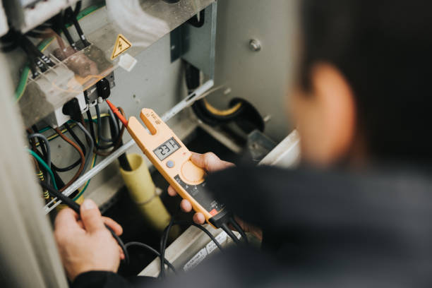 Best Electrical Panel Upgrades  in Lakeview, MI